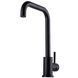 Змішувач для кухні Globus Lux ALPEN SBT1-203L-BB 24953 фото 5