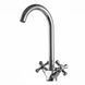 Змішувач для кухні DOMINO DKF-204-10-CRUIZE 13051 фото 1