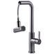 Змішувач для кухні Globus Lux ALPEN SBT1-2044-GP 27000 фото 2