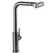 Змішувач для кухні Globus Lux ALPEN SBT1-2044-GP 27000 фото 3