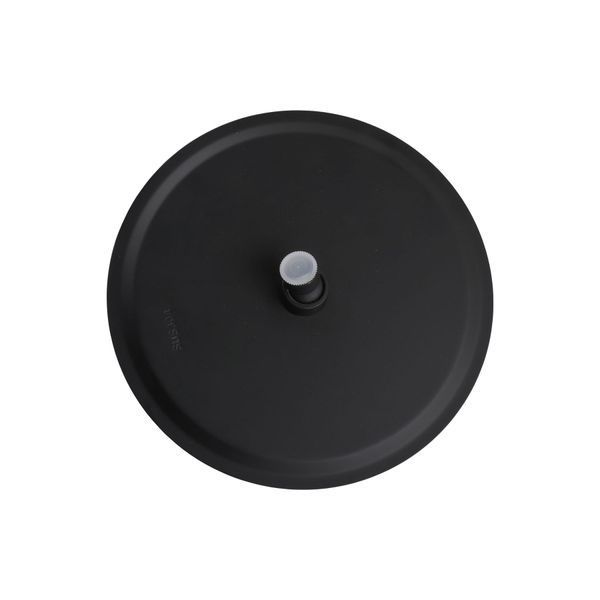 Душова лійка Globus Lux ST-0250-R-BB 21204 фото