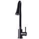 Змішувач для кухні Globus Lux ALPEN SBT1-203SA-GP-B01 26595 фото 3