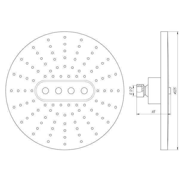 Душова лійка Globus Lux SD07A 14995 фото