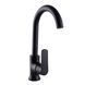 Змішувач для кухні Globus Lux Laguna GLA-0203SL-10-BB 21859 фото 3